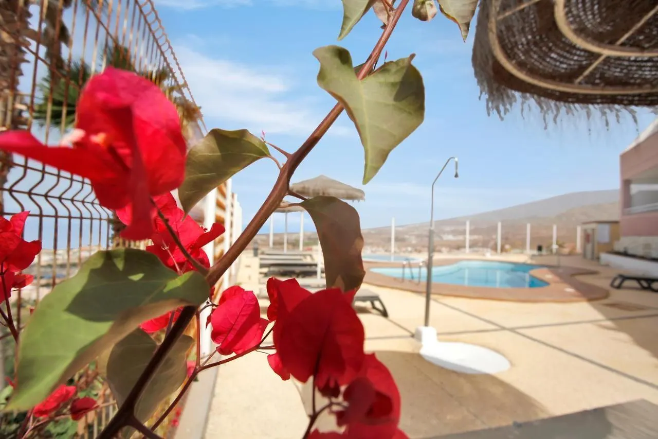 Luxury Penthouse, Best Sunset, Heated Pool, Fast Wifi Costa Adeje  0*, Costa Adeje (Tenerife)